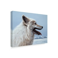 Védjegy Szépművészet 'Arctic Wolf Portré' vászon művészet, Ron Parker
