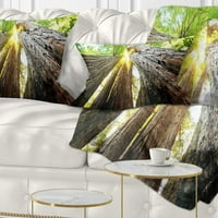 Designart Sequoia Tree - Photography Dring Pillow - 12x20