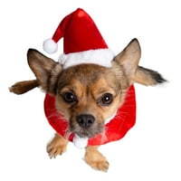 Pet Krewe karácsonyi Mikulás kutya jelmez-kis kalap és gallér szett karácsonyi ünnepi szórakozáshoz