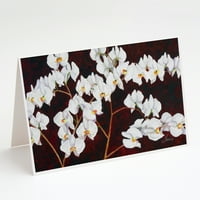 Caroline kincsei orchideák által Ferris Hotard üdvözlőlapok borítékokkal, 5 7