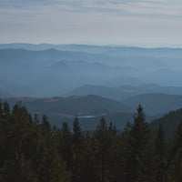 Maybeshewill-Nincs Érzés Végleges-Vinil