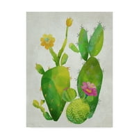 Védjegy Szépművészet 'Cacti Collection II' vászon művészete: Chariklia Zarris