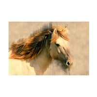 Kim Curinga 'Bedended Horse i' vászon művészet