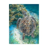 Védjegy képzőművészet 'úszó teknős' vászon művészet Carla Kurt