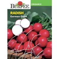Burpee Organic Német Óriás Retek Zöldségmag, 1 Csomag