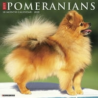 Willow Creek Press Just Pomeranians fali naptár